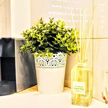 Destiny - Guest house